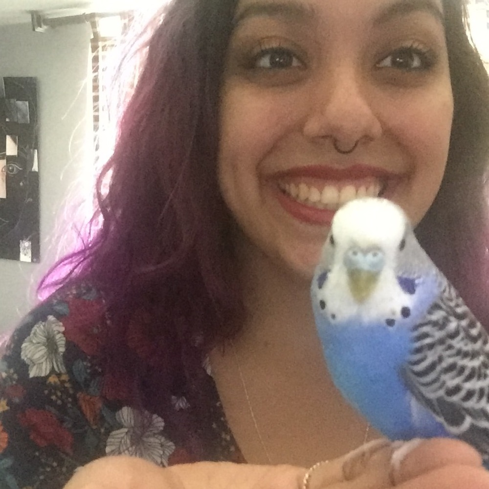 Meet your Posher, Laurel